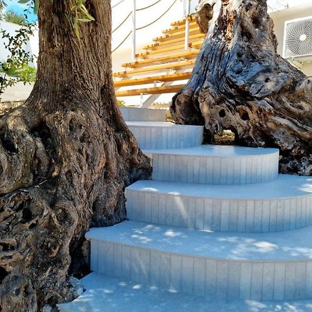 Le Fronde فيستَ المظهر الخارجي الصورة
