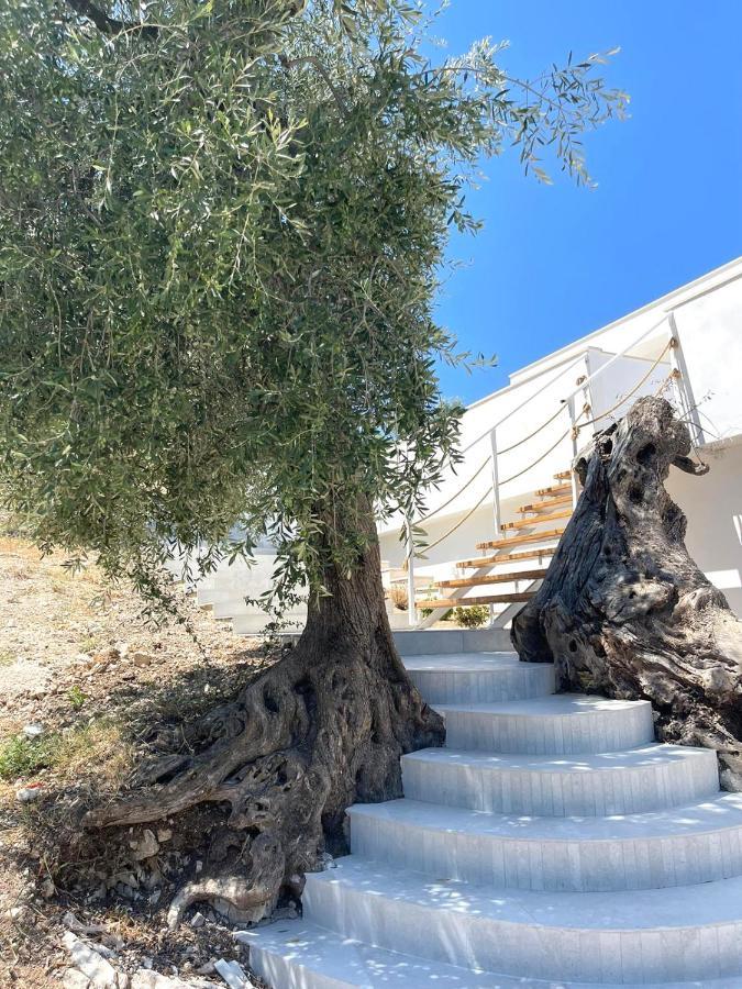 Le Fronde فيستَ المظهر الخارجي الصورة