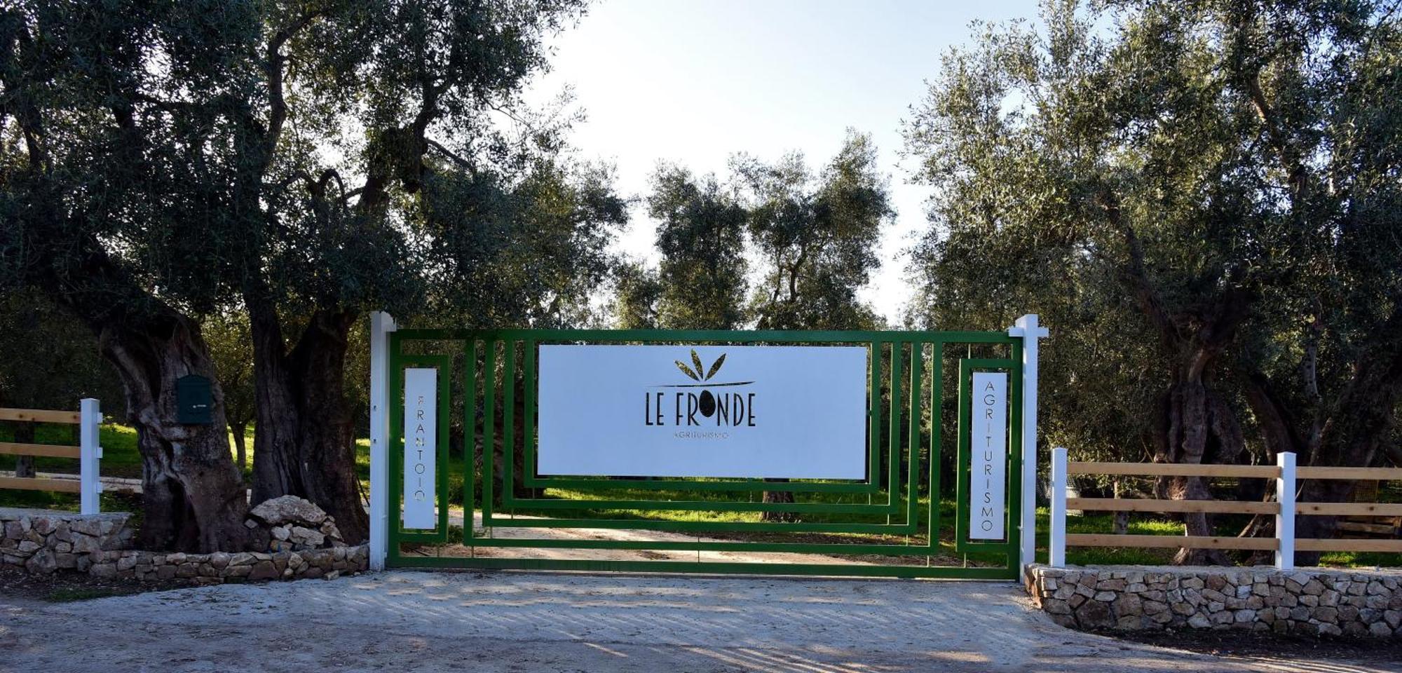 Le Fronde فيستَ المظهر الخارجي الصورة